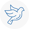 Bird Prevention Derbyshire