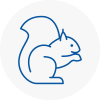 Derbyshire Rodent Removals